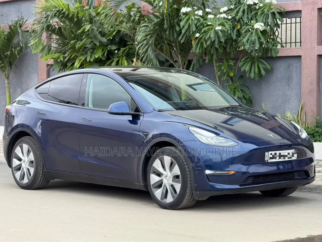 Tesla Model Y 2023 Bleu
