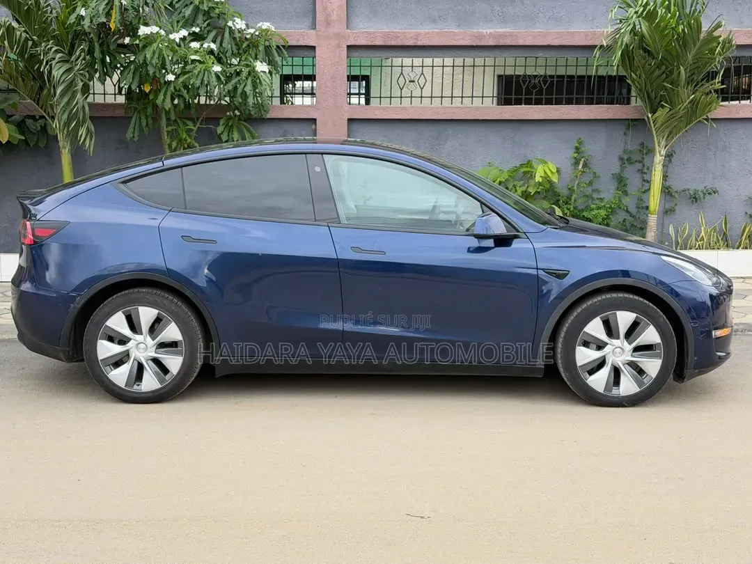 Tesla Model Y 2023 Bleu