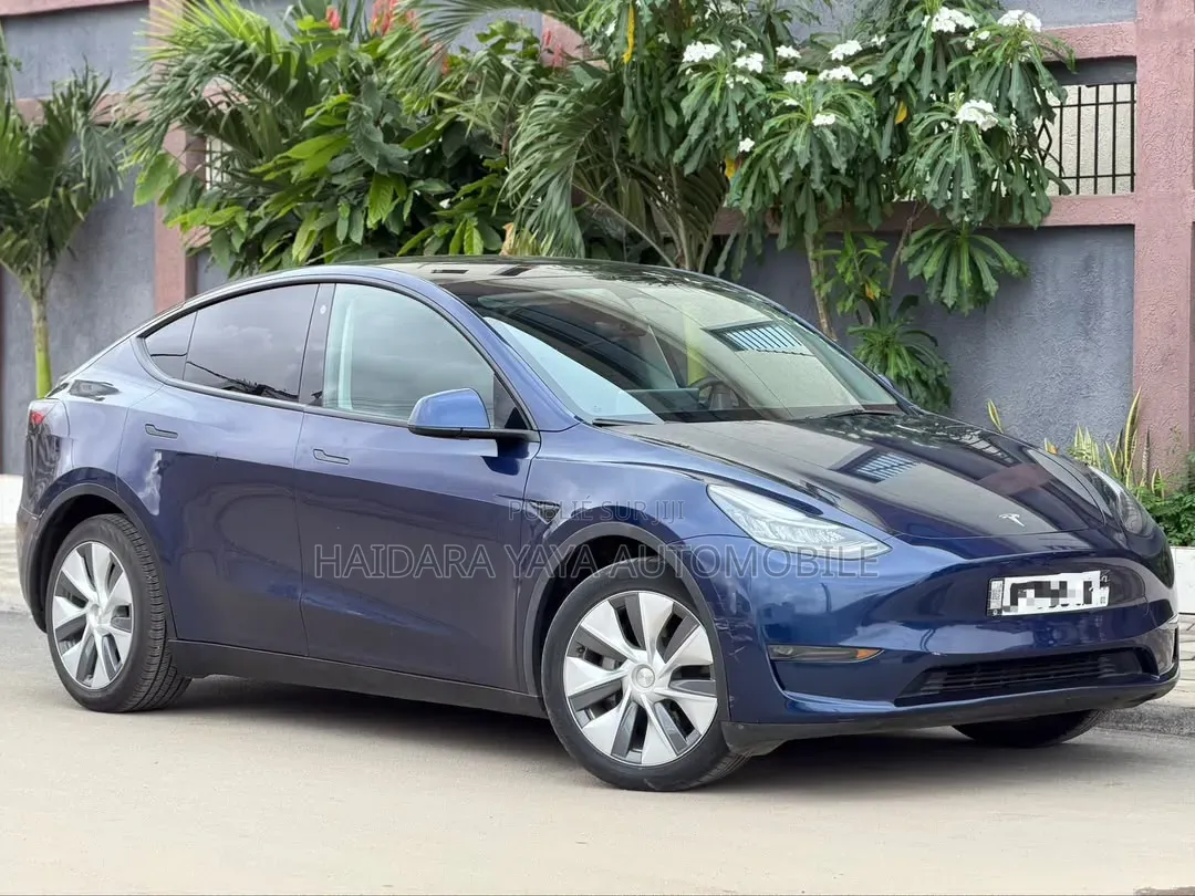 Tesla Model Y 2023 Bleu