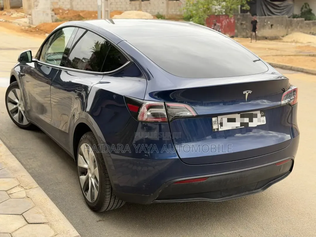 Tesla Model Y 2023 Bleu